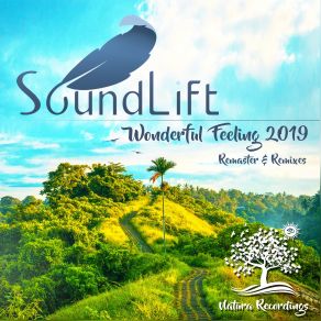 Download track Wonderful Feeling (Ryan Raeside Remix) Soundlift