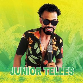 Download track Pegava Minha Ex Junior Telles