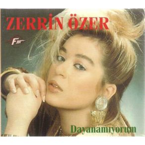 Download track Seni Düşününce Zerrin Özer