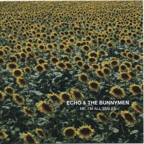 Download track In The Margins Echo & The Bunnymen