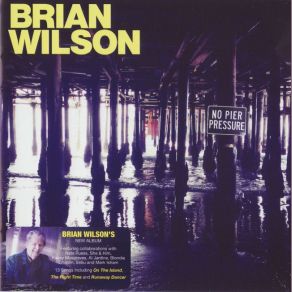 Download track One Kind Of Love Brian Wilson