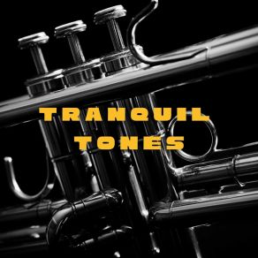 Download track Saxophone Jazz SUMMER JAZZ