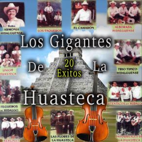 Download track NO VOLVERE Los Gigantes De La Huastecos