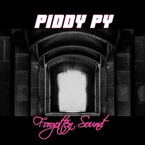 Download track T2 Style Piddy Py