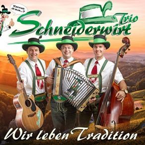 Download track Ohne Feuerwehr Schneiderwirt Trio