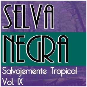 Download track Tu Nunca Sabras Selva Negra