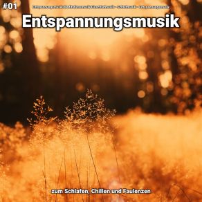 Download track Entspannungsmusik Pt. 88 Entspannungsmusik