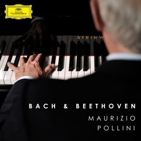 Download track IV. Rondo (Poco Allegretto E Grazioso) Maurizio Pollini