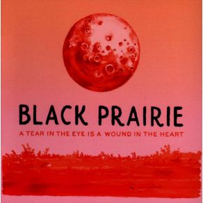 Download track What You Gave Black Prairie