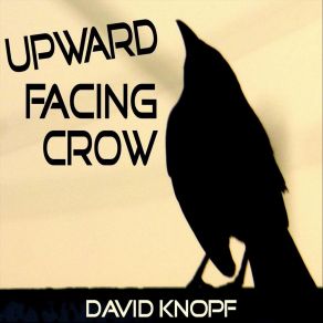 Download track Way Out On A Limb David Knopf