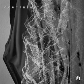 Download track Wig Split (Original Mix) Concentrate