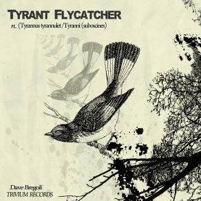 Download track Tyrant Flycatcher (Cheat Code Remix) Dave Bregoli