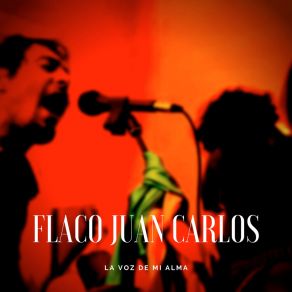 Download track Hits Flaco Juan Carlos