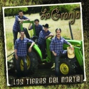 Download track Mi Curiosidad Los Tigres Del Norte