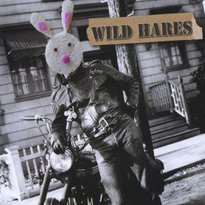 Download track Love Won't Lie Down Wild Hares