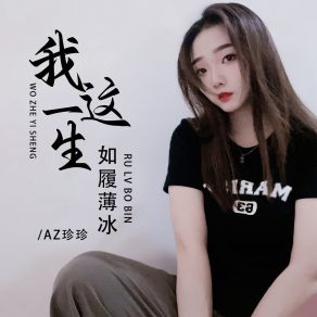 Download track 我这一生如履薄冰 (伴奏) AZ Zhen Zhen