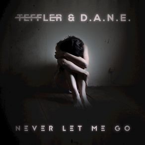 Download track Never Let Me Go (Club Edit) Teffler, D. A. N. E