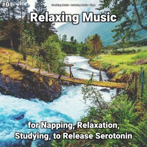 Download track Relaxing Music, Pt. 11 Yoga