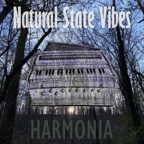 Download track Discordia Natural State Vibes