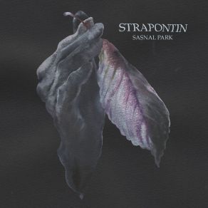 Download track Sasnal Park (A Strange Wedding Remix) StrapontinA Strange Wedding