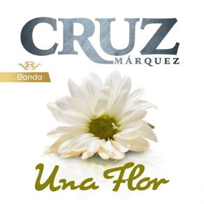 Download track Mi Ilusiónto Cruz Márquez