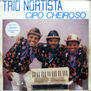 Download track Eu Quero O Seu Amor Trio Nortista