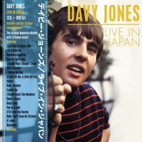 Download track Cuddly Toy (Alternate Mix) Davy Jones