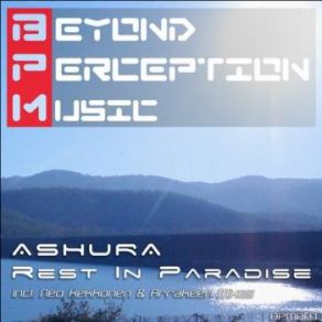 Download track Rest In Paradise (Neo Kekkonen 130 Mix) Ashura