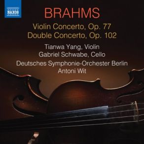 Download track Violin Concerto In D Major, Op. 77- II. Adagio Deutsches Symphonie - Orchester Berlin, Antoni Wit, Tianwa Yang, Gabriel Schwabe