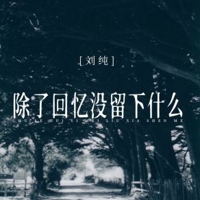 Download track 除了回忆没留下什么 (DJBanan版) 刘纯Banan