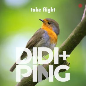 Download track Take Flight Didi