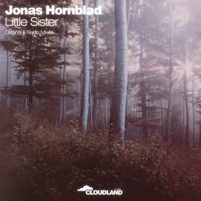 Download track Little Sister Jonas Hornblad