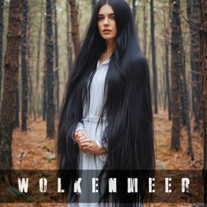 Download track Adler Wolkenmeer