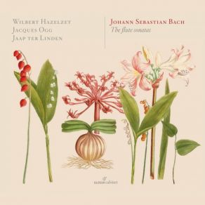 Download track Flute Sonata In E-Flat Major, BWV 1031 (Attrib. C. P. E. Bach): I. Allegro Moderato Wilbert Hazelzet, Jaap Ter Linden, Jacques Ogg