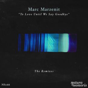 Download track Melancholy Street (Several Definitions Remix) Marc Marzenit