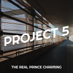 Download track Lets Talk About It Prince Charming