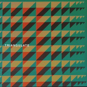 Download track Triangulate (Demo) Dave Williams