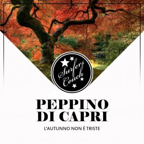 Download track I' Te Vurria Vasà Peppino Di Capri