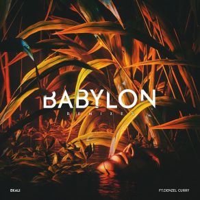 Download track Babylon (Sober Rob & Oshi Remix) EkaliDenzel Curry