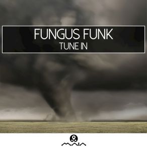 Download track Flight Test Fungus Funk