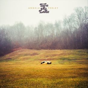 Download track Wreck Me Angela Perley