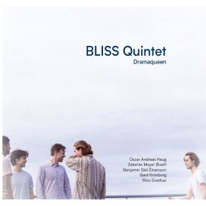 Download track Bodas De Prata Bliss Quintet