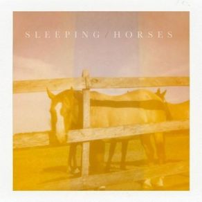 Download track A Horizontal Fall Sleeping Horses