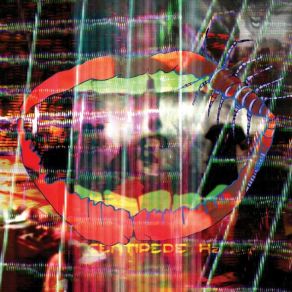 Download track New Town Burnout Animal Collective