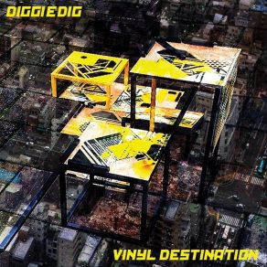 Download track Vinyl Destination Diggie Dig