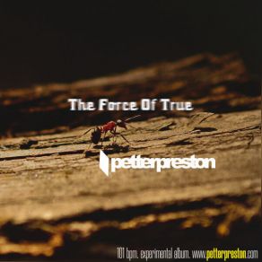 Download track You Been Always Near (Original Mix) Petter Preston