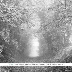 Download track Quad Emil Spanyi, Florent Souchet, Anders Ulrich, Simon Bernier