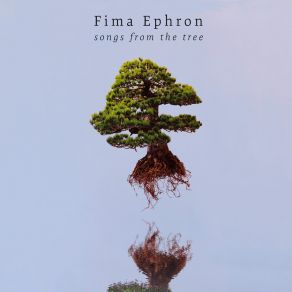 Download track Bamboo Fima Ephron