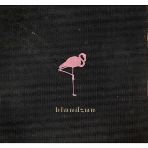 Download track Blindspot Blaudzun