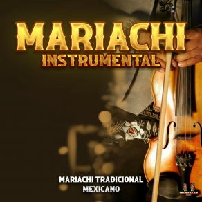 Download track Amor De Madre Mariachi Instrumental